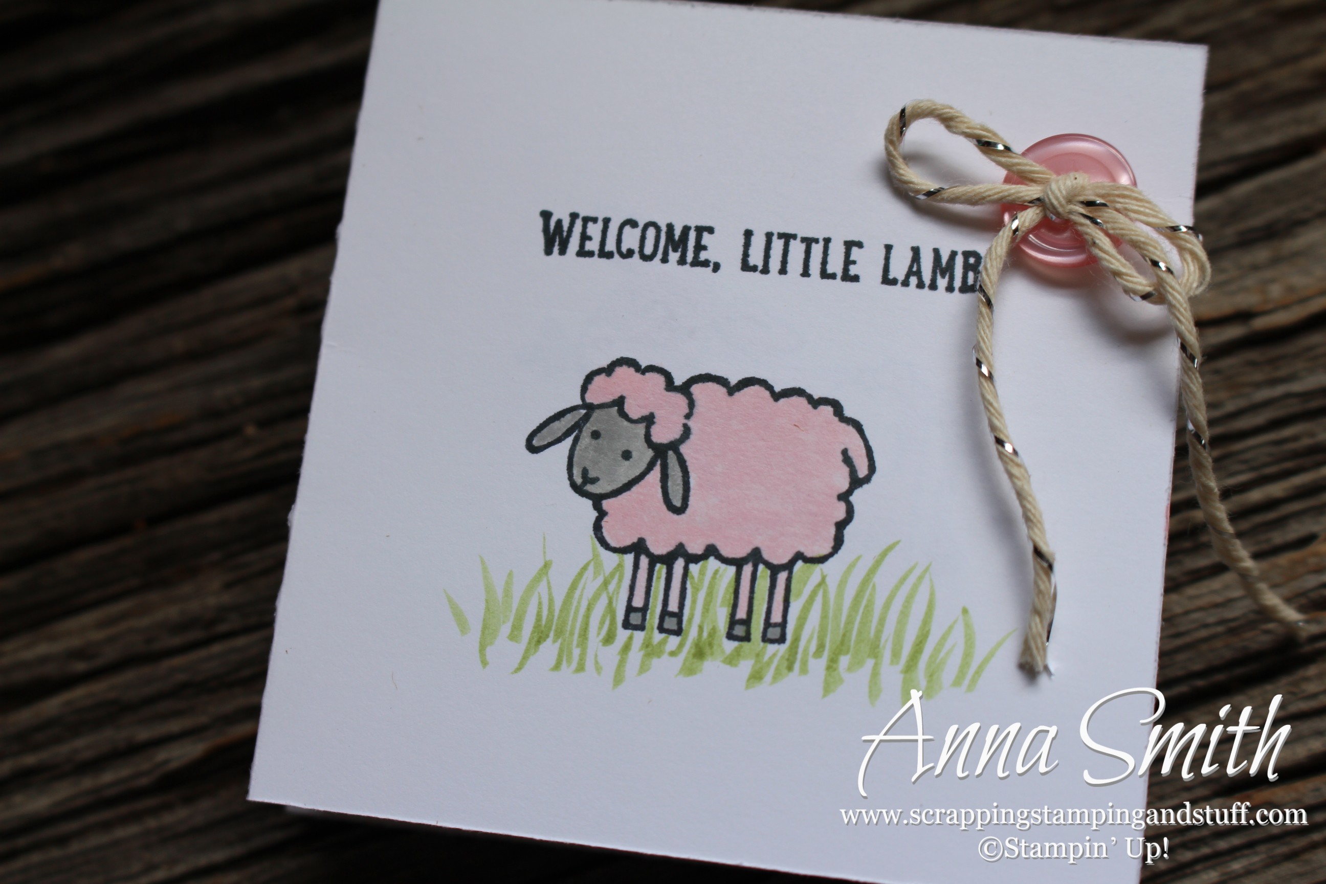 Little Lamb Baby Card