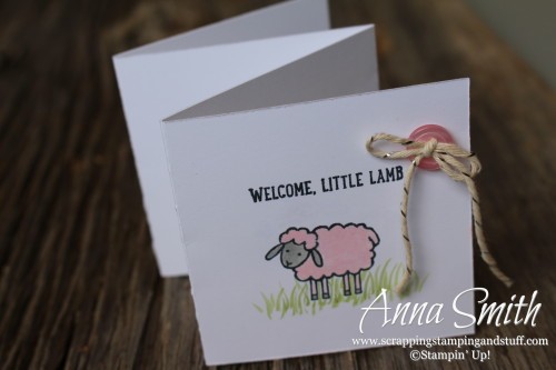 Barnyard Babies Baby Card