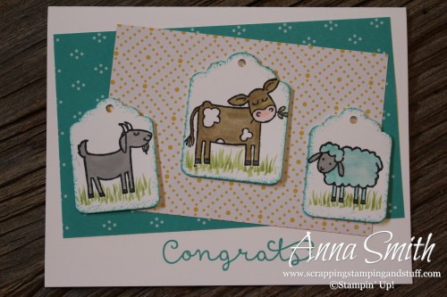 Congrats baby card made with Stampin' Up! Barnyard Babies and Cottage Greetings stamp sets