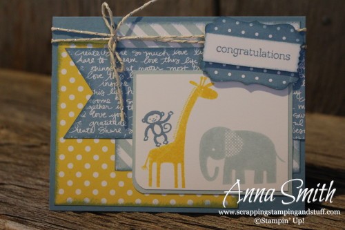 Zoo Baby Blues baby boy card