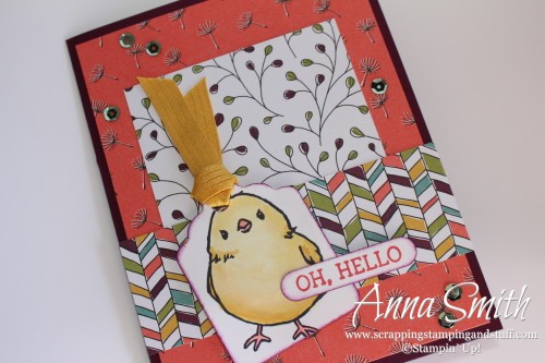 Stampin' Up! Honeycomb Happiness Hello card with a cute baby chick using Wildflower Fields designer paper