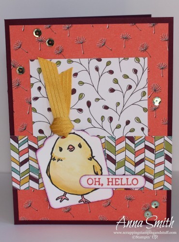 Stampin' Up! Honeycomb Happiness Hello card with a cute baby chick using Wildflower Fields designer paper