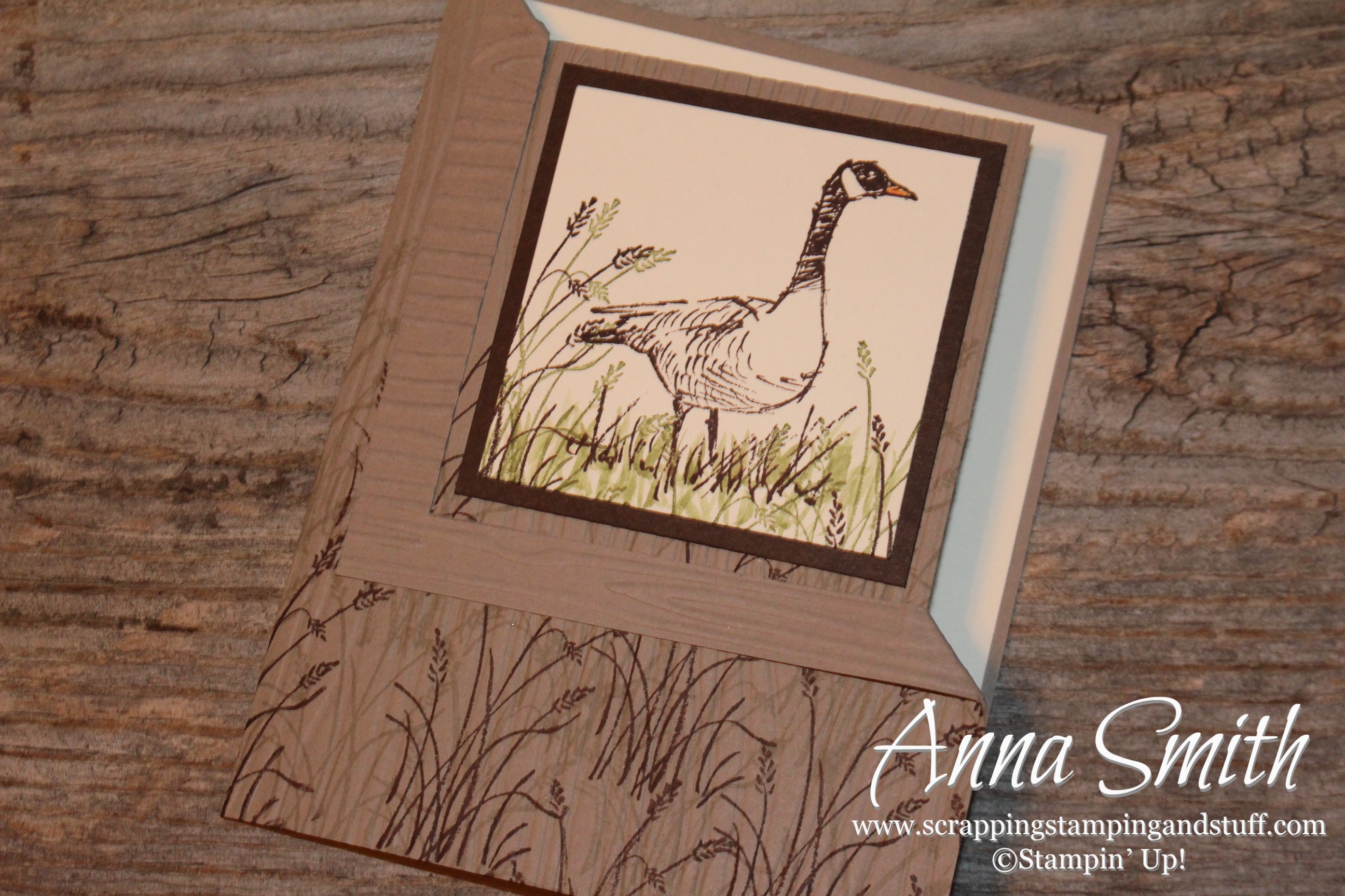 Wetlands Corner Fold Masculine Birthday Card