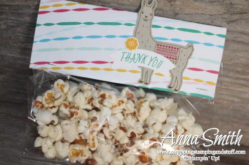 Popcorn party favor treat bags with a llama! Made with Stampin' Up! Birthday Fiesta bundle and Festive Birthday designer paper. 