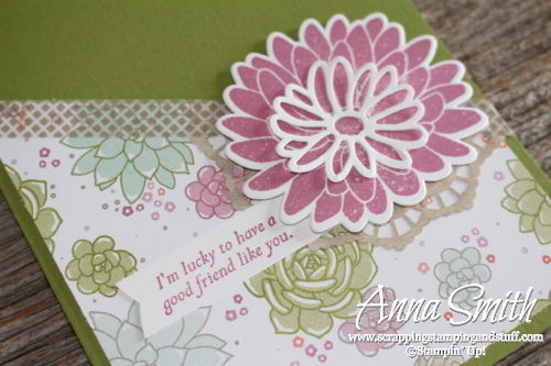 Succulents for a Special Reason Friendship Card