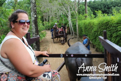 Photos and fun from the 2017 Stampin' Up! incentive trip to Thailand