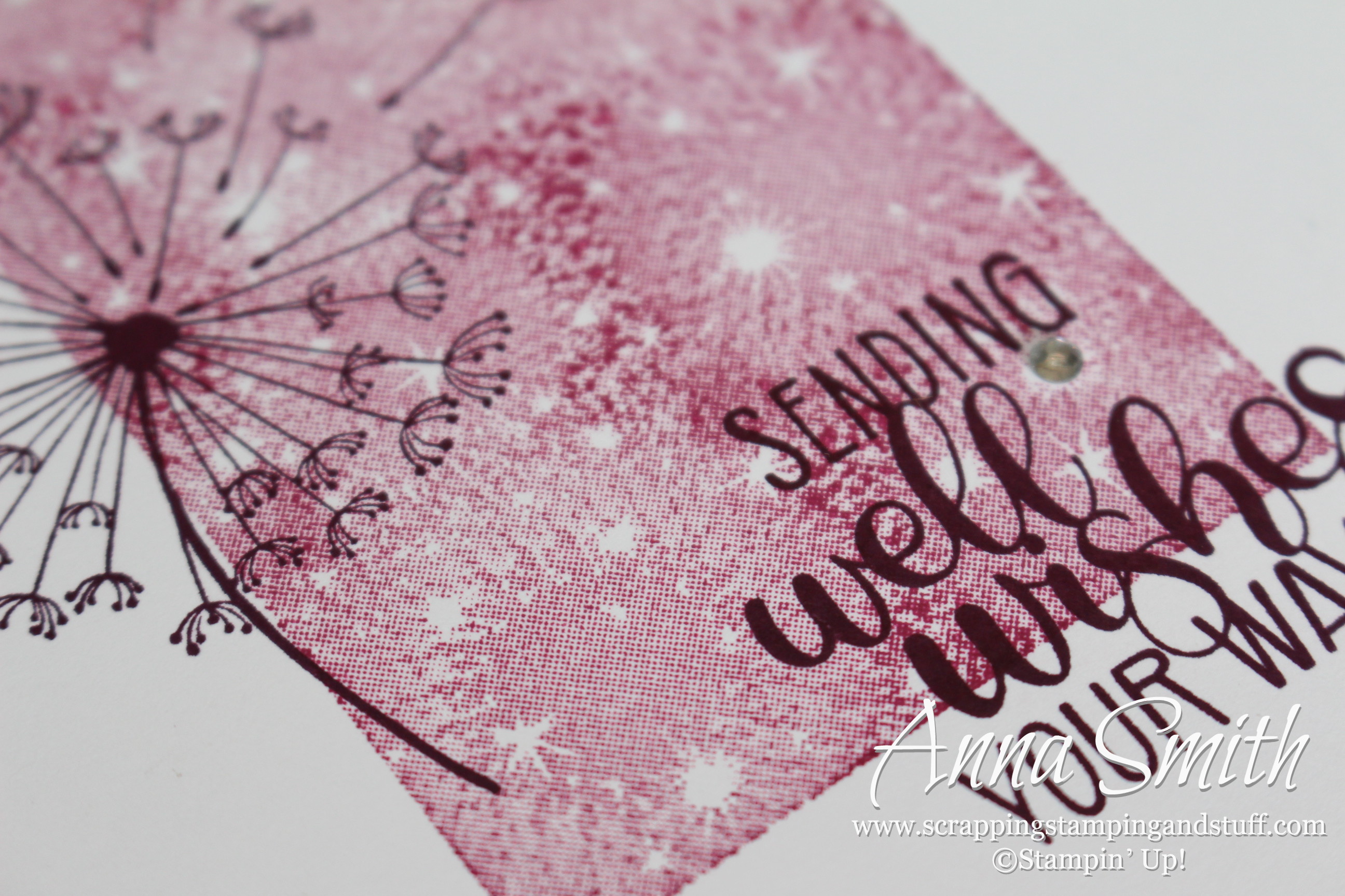 Sending Well Wishes with the Dandelion Wishes Stamp Set