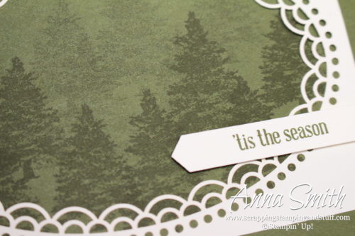 Simple Christmas card idea made with the Stampin' Up! Delightfully Detailed laser cut paper and Rooted in Nature and Itty Bitty Greetings stamp sets