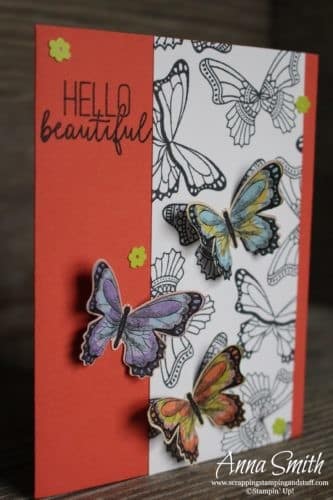 Occasions Catalog Sneak Peeks! Stampin' Up! Butterfly Gala card idea