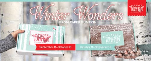 Stampin Up Paper Pumpkin Craft Subscription Box Kit