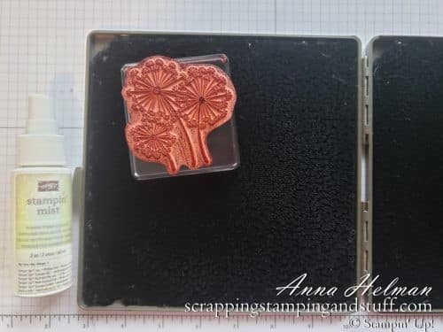 In Cardmaking 101 Lesson 8, you will learn 3 ways to clean your stamps, along with pros and cons of each. Get the answer to 'how do I clean my stamps?'