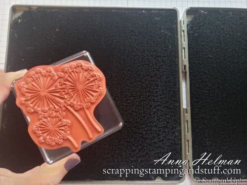 In Cardmaking 101 Lesson 8, you will learn 3 ways to clean your stamps, along with pros and cons of each. Get the answer to 'how do I clean my stamps?'