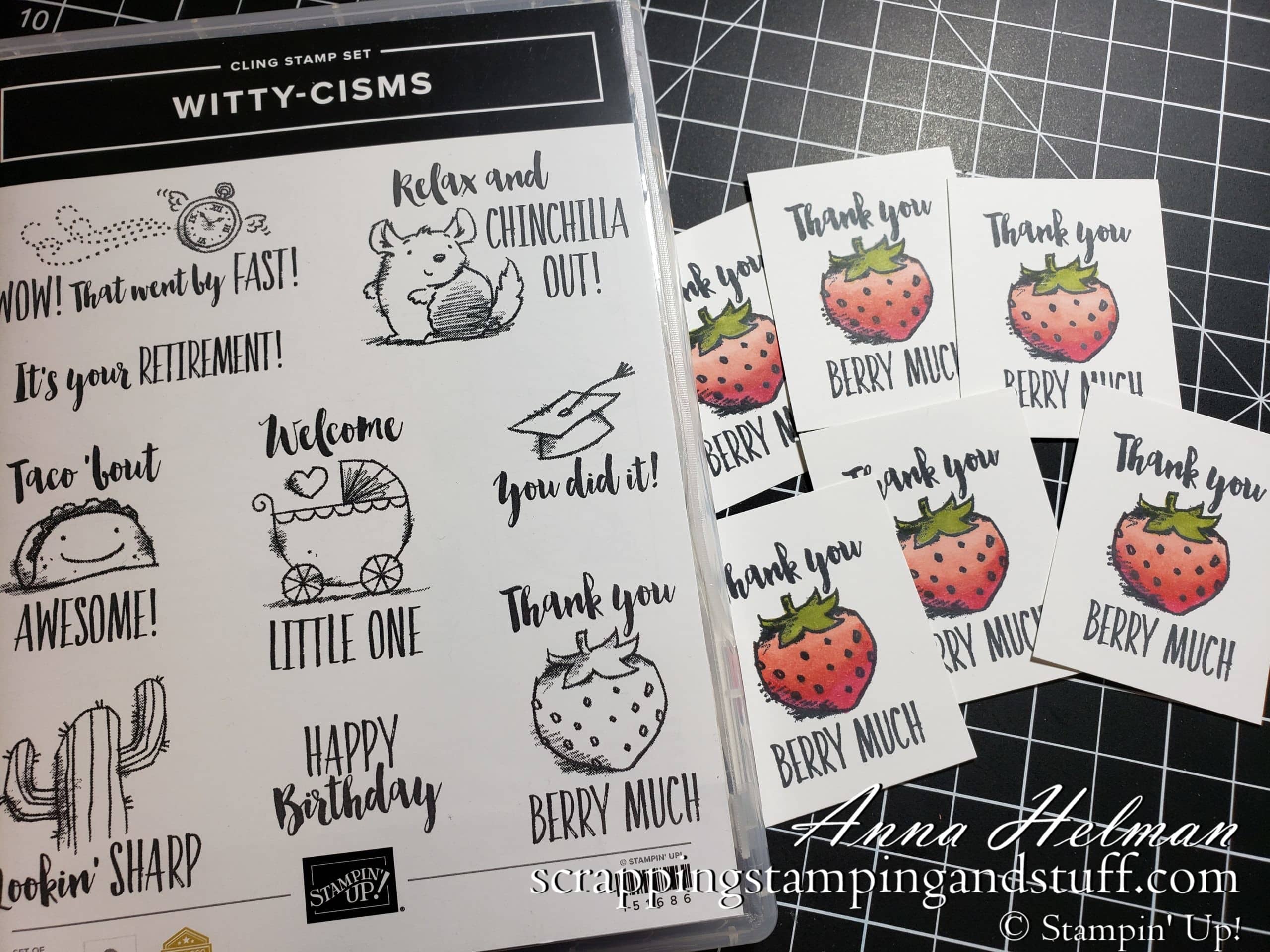 Meet the Witty-cisms Stamp Set