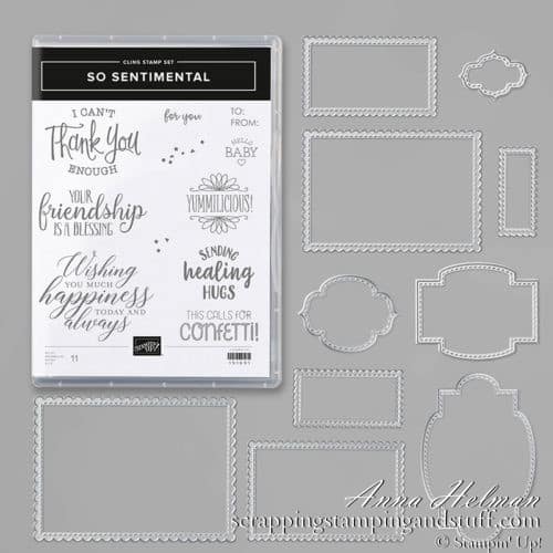 Stampin Up So Sentimental Greeting and Tag Stamp and Die Set
