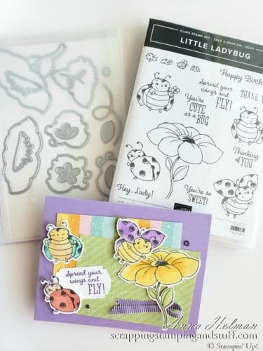 Adorable ladybug card made with Stampin Up ladybug stamp and die set - Little Ladybug stamp set and the coordination product release