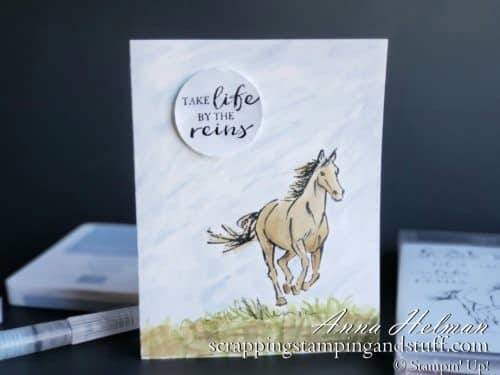 Pretty horse card - take life by the reins - made using Stampin Up Let It Ride stamp set and watercoloring