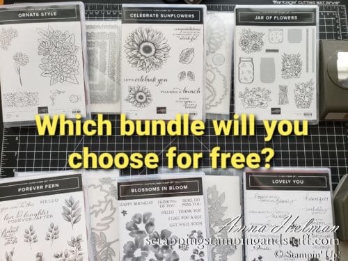 Choose a Free Stampin Up Bundle in June Only! Choose A Stamp And Die Bundle Or A Stamp And Punch Bundle