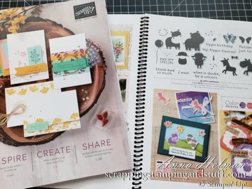 Join In For My New Stampin Up Catalog Walkthrough And See The Catalog Up Close And Personal