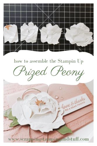 Learn this quick trick for how to make a beautiful, realistic Stampin Up Prized Peony flower with absolutely no sponging!