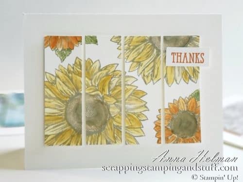 These Panel Card Ideas Can Be Made in Minutes! Simple Stamping Ideas, and Perfect For Beginning Card Makers!