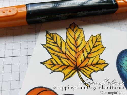 Join in for this introduction to using Stampin Up Alcohol Markers for beautiful results on all of your coloring projects.