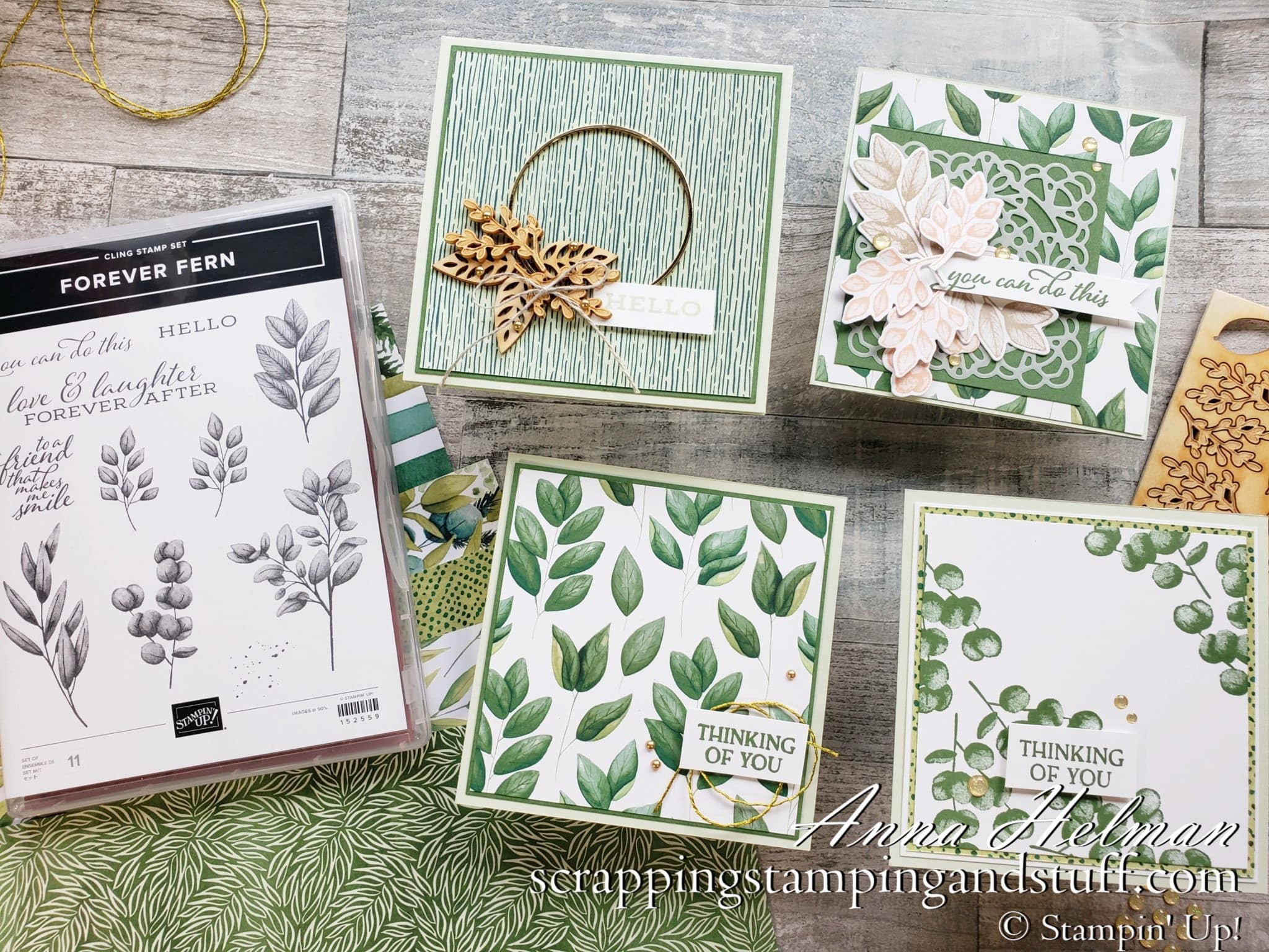 Stampin Up Forever Fern
