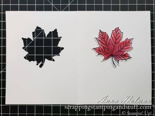 These 10 stamping techniques to use with leaves are perfect for beautiful fall cards. Stained glass, sponging, spritzing, blends markers, a keyhole card, and more. Try them today!