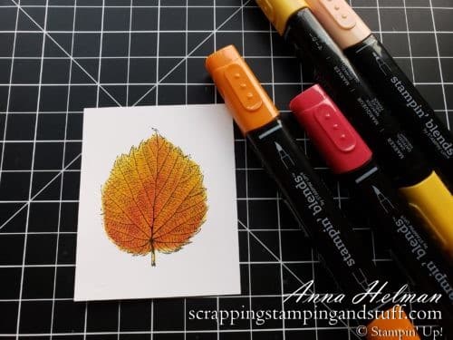 These 10 stamping techniques to use with leaves are perfect for beautiful fall cards. Stained glass, sponging, spritzing, blends markers, a keyhole card, and more. Try them today!