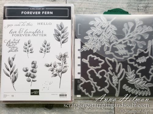 These 10 stamping techniques to use with leaves are perfect for beautiful fall cards. Stained glass, sponging, spritzing, blends markers, a keyhole card, and more. Try them today!