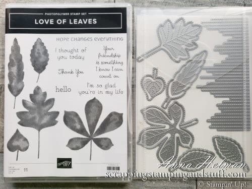 These 10 stamping techniques to use with leaves are perfect for beautiful fall cards. Stained glass, sponging, spritzing, blends markers, a keyhole card, and more. Try them today!