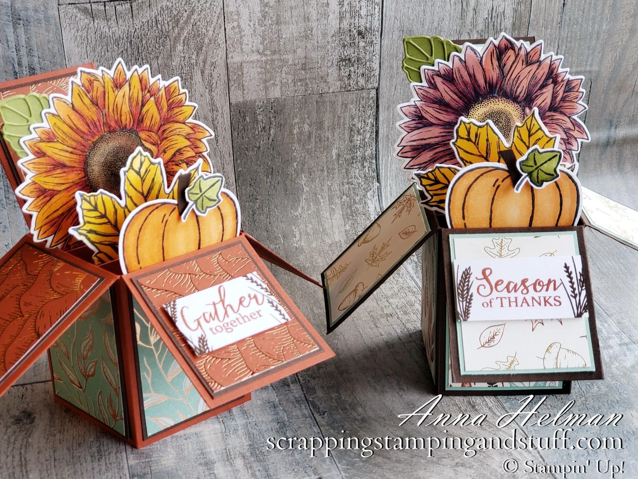 Learn to make a fun fold card in this exploding box card tutorial with Stampin Up Celebrate Sunflowers, Harvest Hellos, and Gather Together.