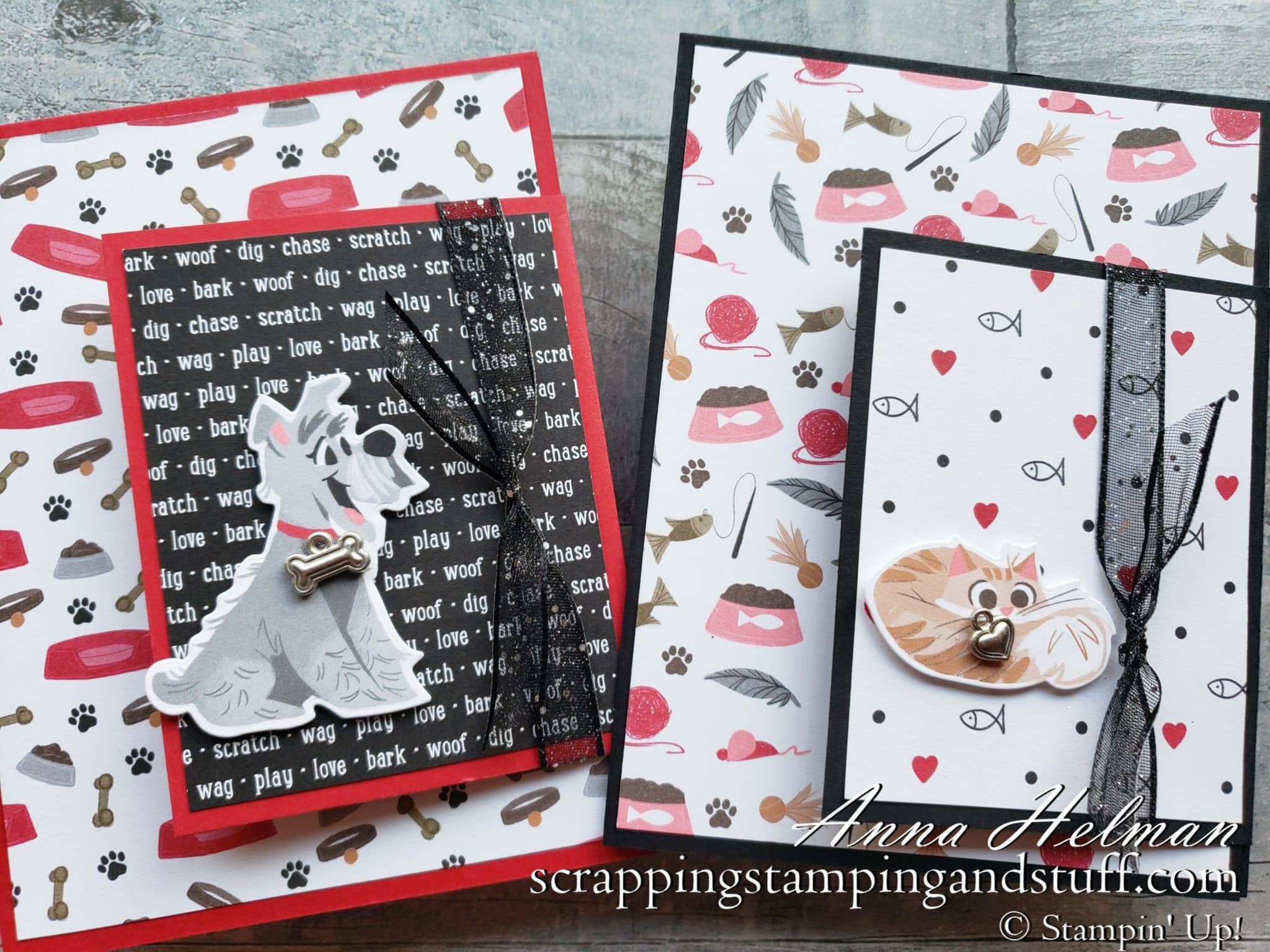 Cute Cat And Dog Fun Fold Cards