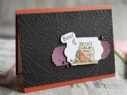 The Stampin Up Have A Hoot stamp set, is full of adorable Halloween and Christmas owl stamps!