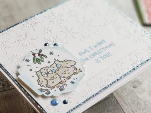 The Stampin Up Have A Hoot stamp set, is full of adorable Halloween and Christmas owl stamps!