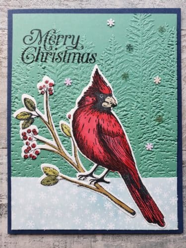 Take a look at these beautiful Christmas card ideas from my Stampin Up OnStage event swap cards with other demonstrators!