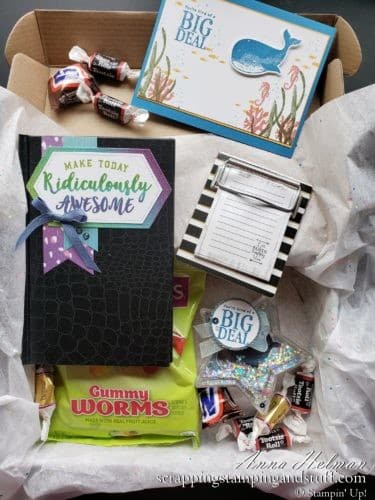 Take a look at these fun goodie boxes I sent my team members for our Stampin Up OnStage conference. They include some great DIY gift ideas!