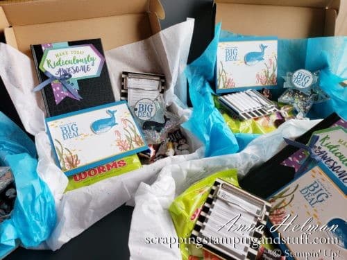 Take a look at these fun goodie boxes I sent my team members for our Stampin Up OnStage conference. They include some great DIY gift ideas!