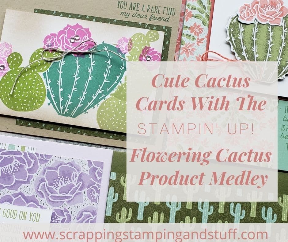 Stampin Up Flowering Cactus Makes The Cutest Cactus Cards!