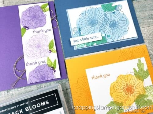  Reversibles stamps allow you to stamp detail and fill in with one single stamp! See how they work with the Stampin Up Back To Back Blooms set. 