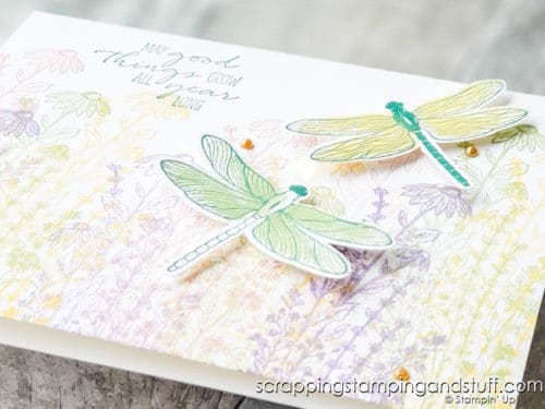 Make stunning nature cards with the beautiful Stampin Up Dragonfly Garden stamp set and punch. See nine sample cards here!