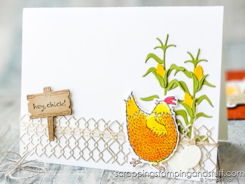 Make amazing chicken cards with the Stampin Up Hey Chick chicken stamp set and dies!