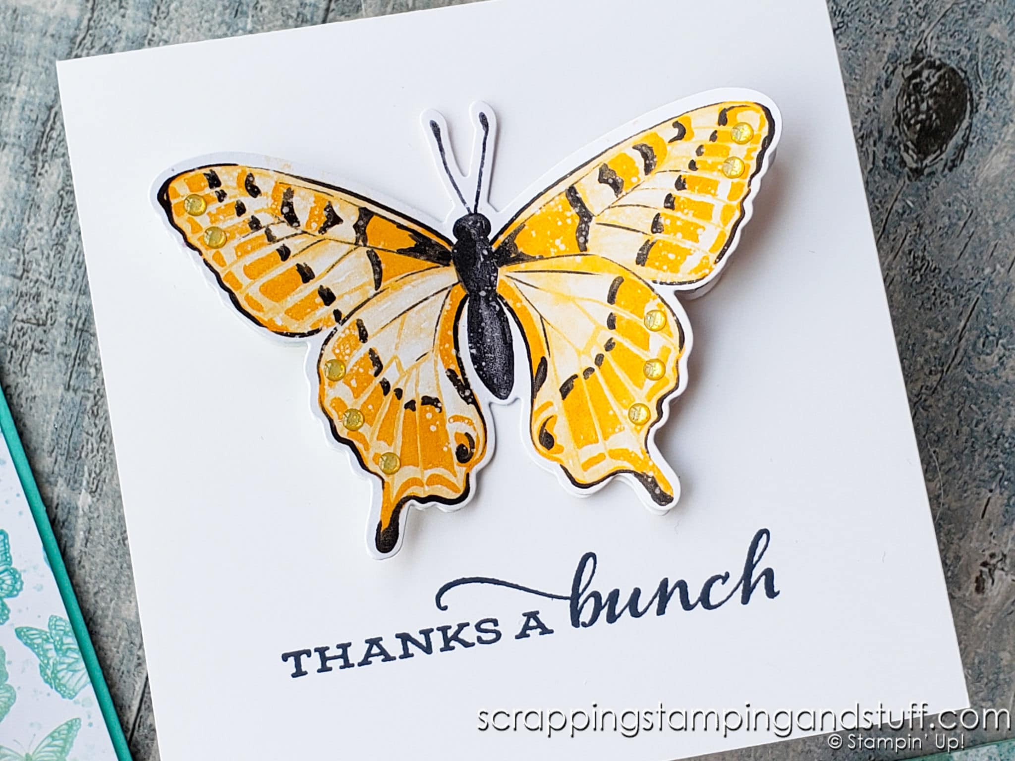 Stampin Up Butterfly Brilliance Special Release Now Available!