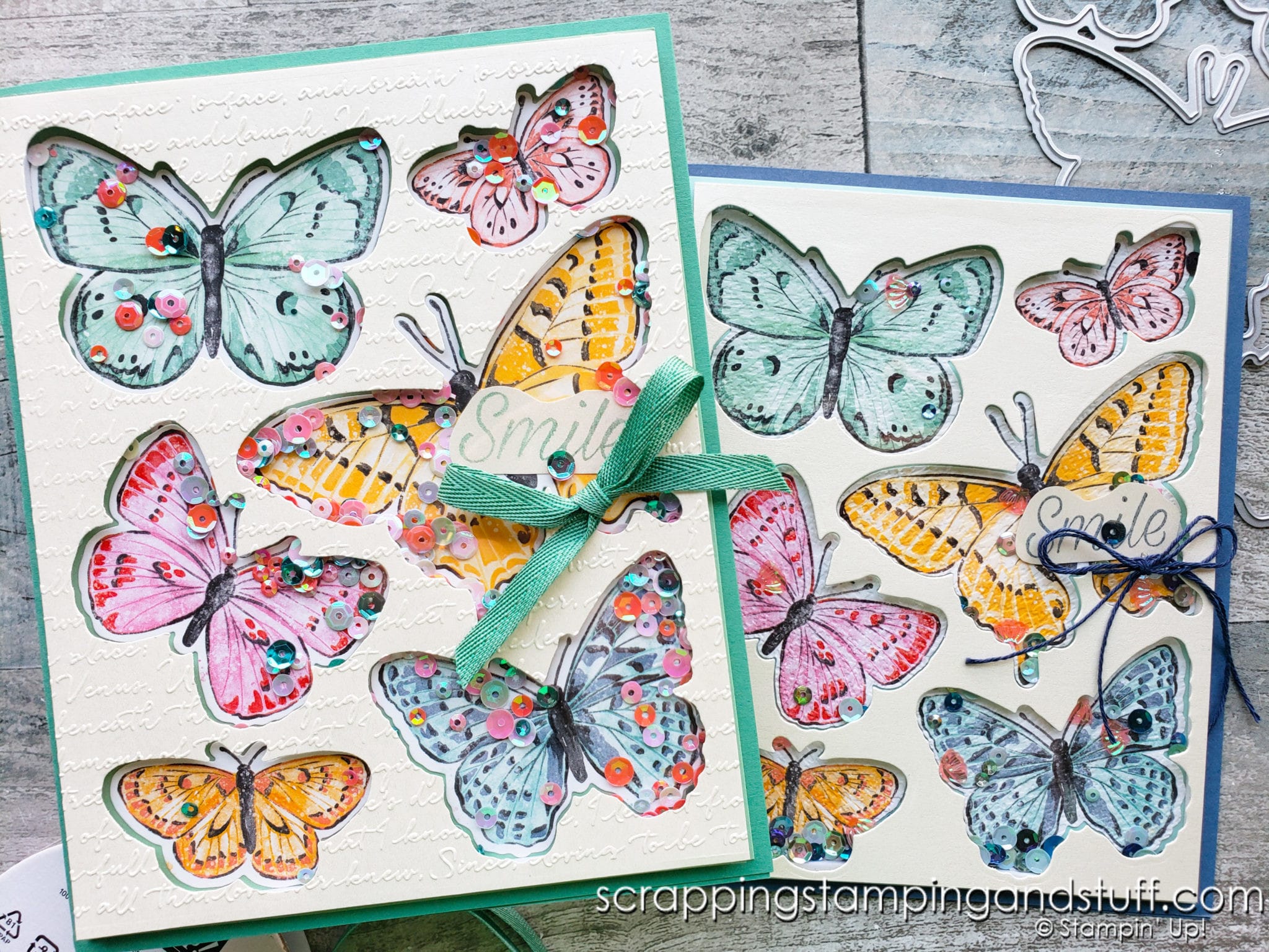 A Big, Bold Butterfly Shaker Card With The Butterfly Brilliance Bundle