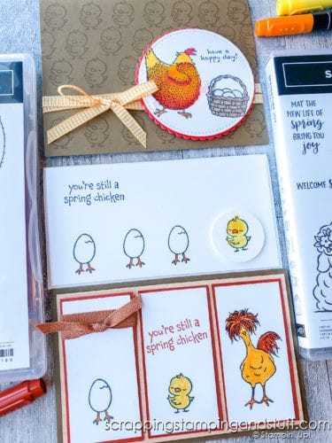 Make cute chicken cards with the Hey Chick stamp set and Springtime Joy stamps set. These cards are so adorable!