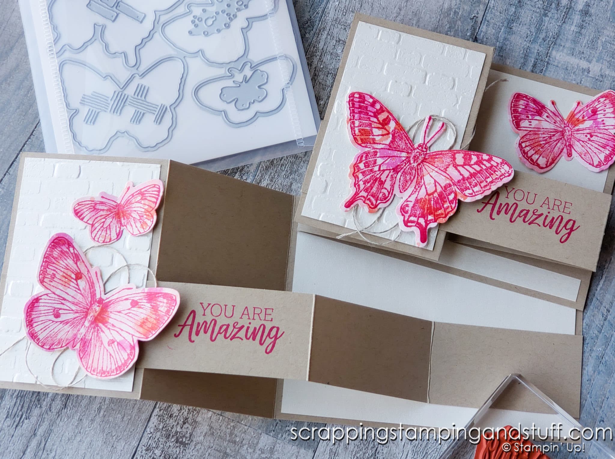 Pearlescent Double Z Fun Fold Butterfly Card