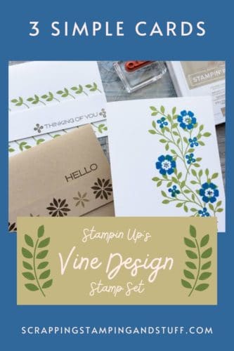 Make these three simple cards in minutes with the Stampin Up Vine Design stamp set! Perfect projects for beginning card makers!
