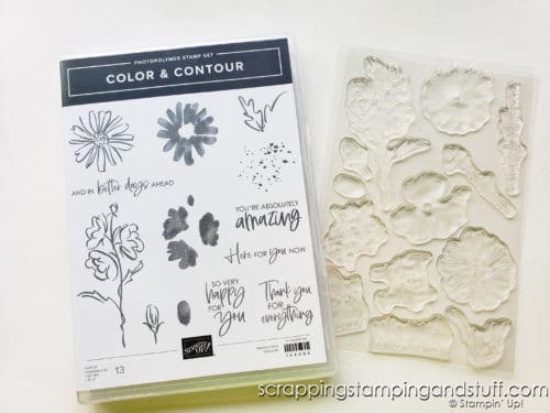 Don't miss the new Stampin Up 2021-2023 In Colors. Click here to see these gorgeous hues. You're going to love them!