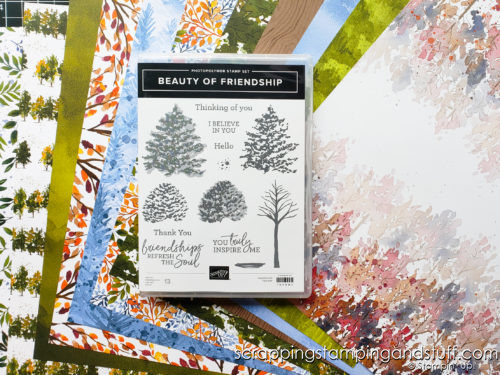 Make beautifully stunning tree cards with the Stampin Up Beauty of Friendship stamp set! Get 6 card ideas here!