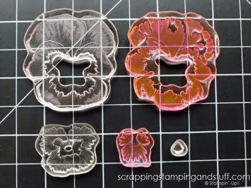 How To Use The Stampin Up Pansy Patch Stamps And Dies