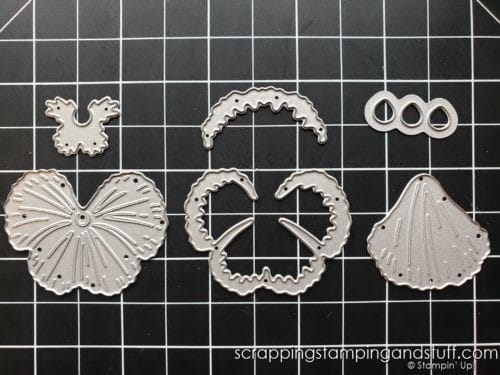 How To Use The Stampin Up Pansy Patch Stamps And Dies